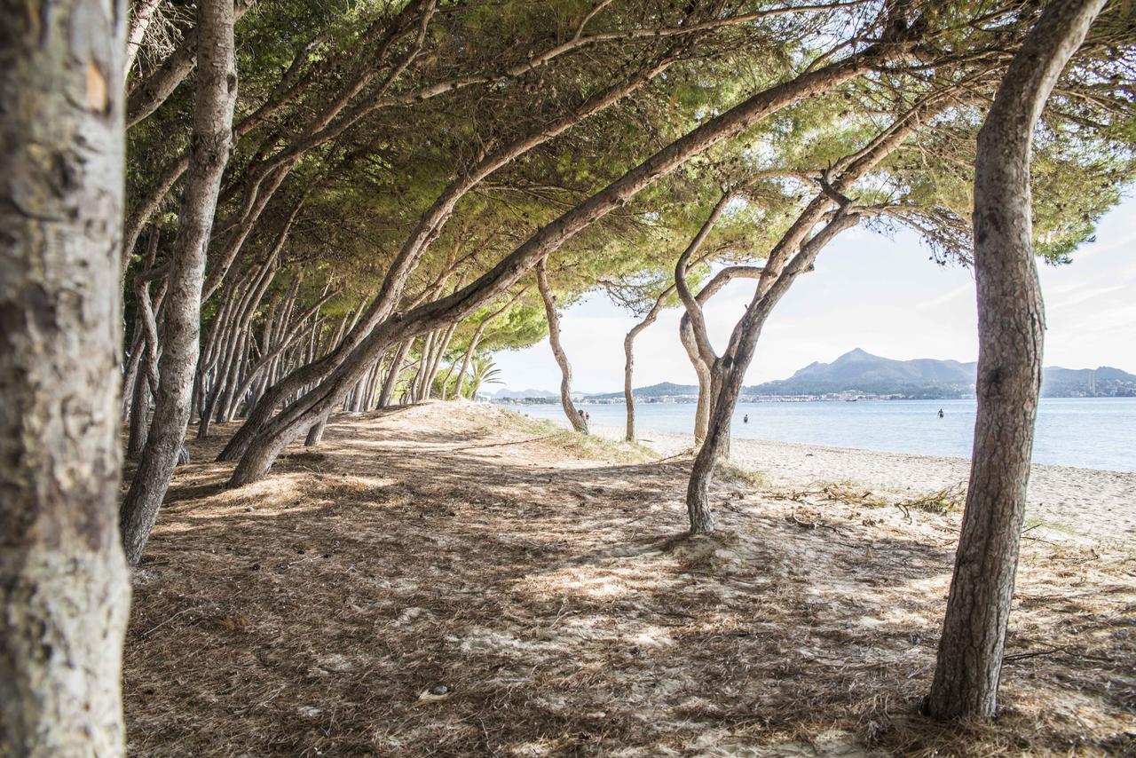 Beach Inn Apartment Port de Alcudia  Екстер'єр фото